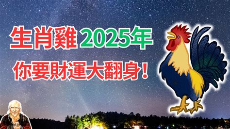 2024 雞運程|2024 肖雞流年運程 